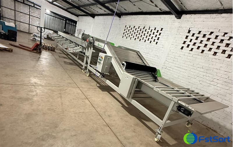 images/1751621341028garlic processing line.jpg